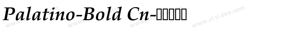 Palatino-Bold Cn字体转换
